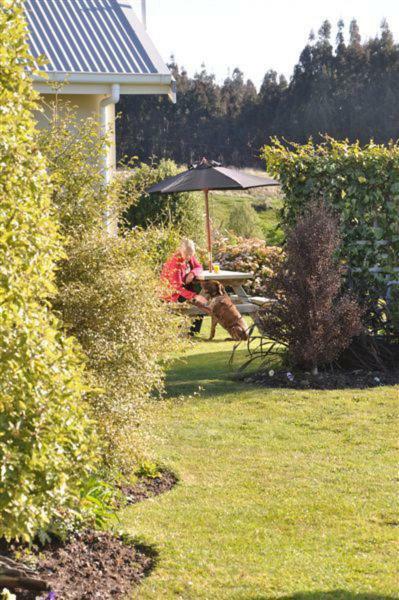 Blue Thistle Cottages Te Anau Exterior foto